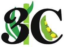 3C