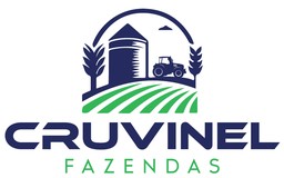 Cruvinel Fazendas